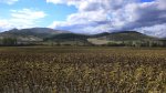 P1010170.JPG