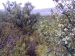 Imagen019.jpg