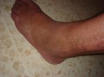 DSC06740.jpg