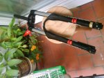DSC01162.jpg