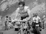 Eddy_Mercx_1969_2.jpg
