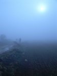 DSCN0276_450x600.jpg