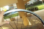 DSC00115.jpg