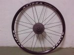 roda (Medium).jpg