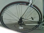 DSC00293.jpg
