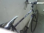 DSC00294.jpg