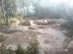 DSC00709.jpg
