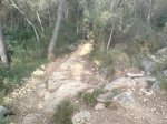DSC00710.jpg