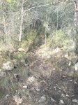 DSC00712R.jpg
