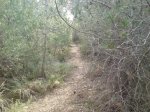 DSC00715.jpg