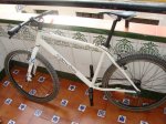 DSC02436.jpg
