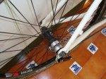 DSC02440.jpg