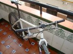 DSC02443.jpg