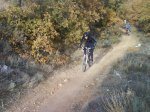 DSC00532.jpg