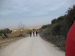 IMG_1295.jpg