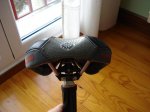 DSC02447.JPG