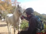 DSC00227.jpg