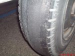 DSC00220.jpg