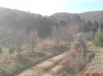 DSC00225.jpg