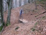 IMG_1464 (Large).JPG