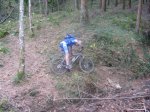 IMG_1488 (Large).JPG
