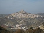 IMG_1116.jpg