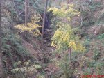 DSC00003.jpg