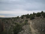 Imagen 017.jpg