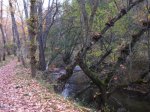 IMG_0284.jpg