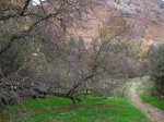 IMG_0307.jpg