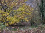IMG_0317.jpg