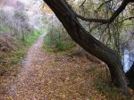 IMG_0329.jpg