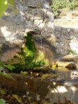 DSC01435.JPG
