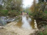 DSC02779.JPG