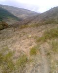 Imagen0067.jpg