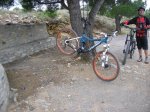 salida 21-11-09 010 [Desktop Resolution].jpg