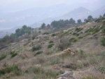 salida 21-11-09 018 [Desktop Resolution].jpg