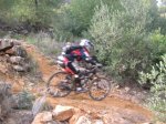 salida 21-11-09 072 [Desktop Resolution].jpg