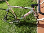 bici2.jpg