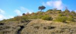 DSCN0568.jpg
