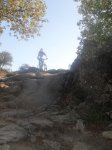 SDC11426.jpg
