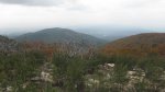setas 005_800x449.jpg