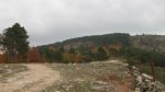 setas 006_800x449.jpg