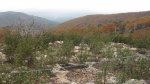 setas 007_800x449.jpg