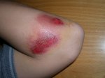 DSCN7908.jpg