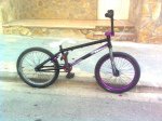 Tone0797.jpg