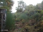 RUTONLUINTRA221109 019.jpg