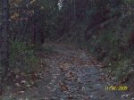 100_3709.jpg