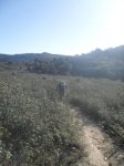SDC11430.jpg