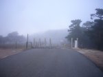Foto5.JPG